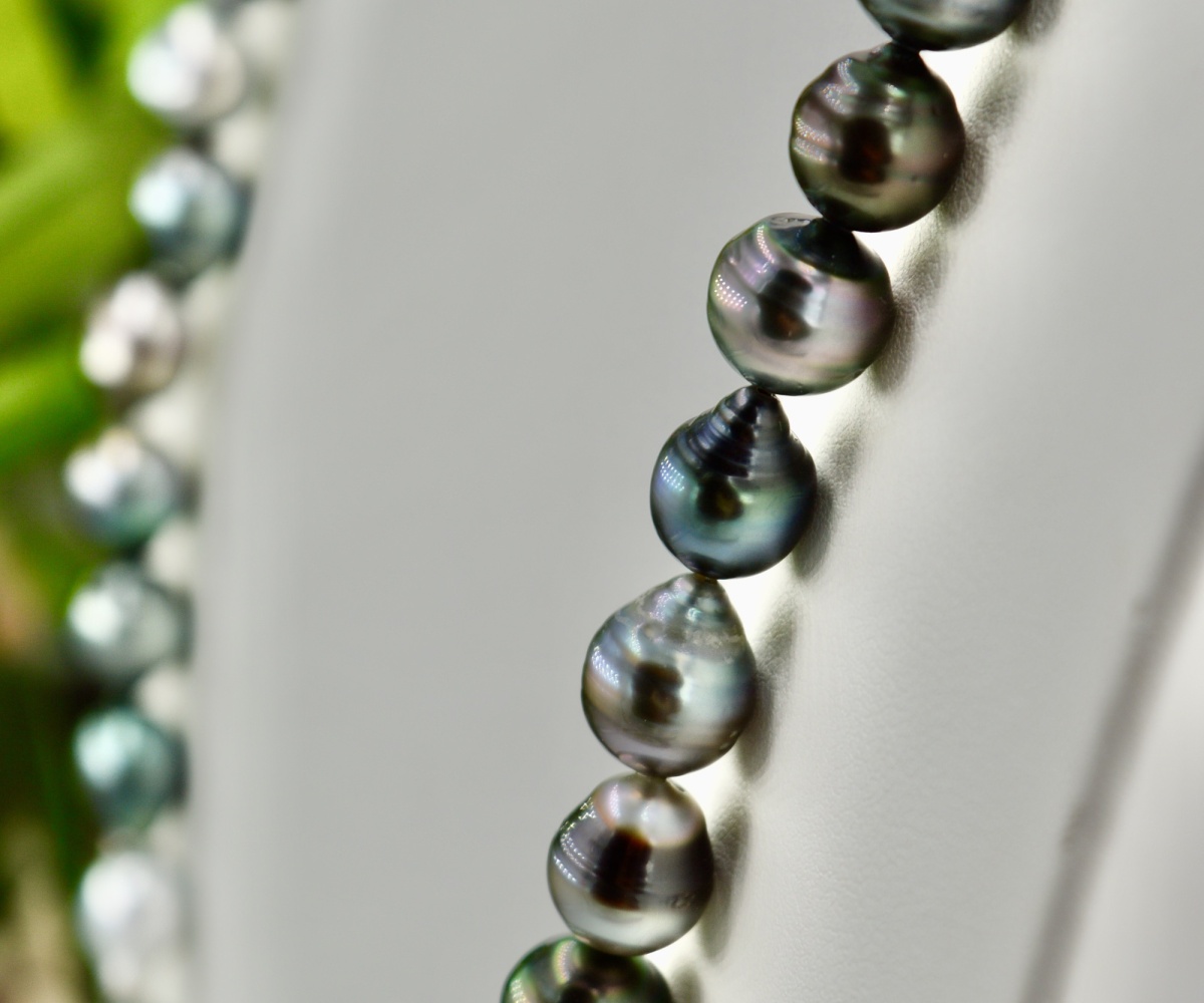 126-collection-marutea-choker-de-59-perles-collier-en-perles-de-tahiti-1