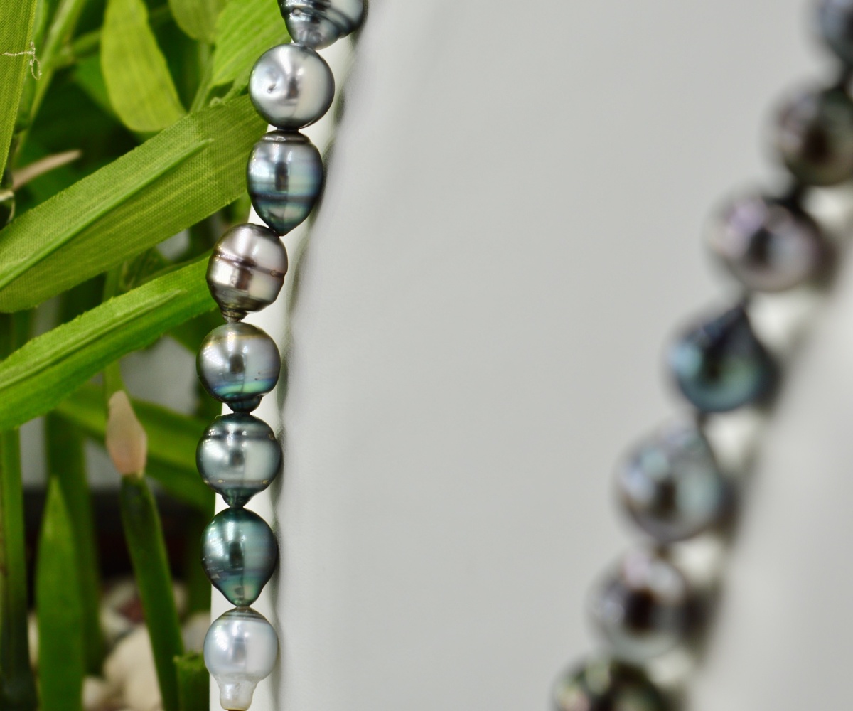126-collection-marutea-choker-de-59-perles-collier-en-perles-de-tahiti-4
