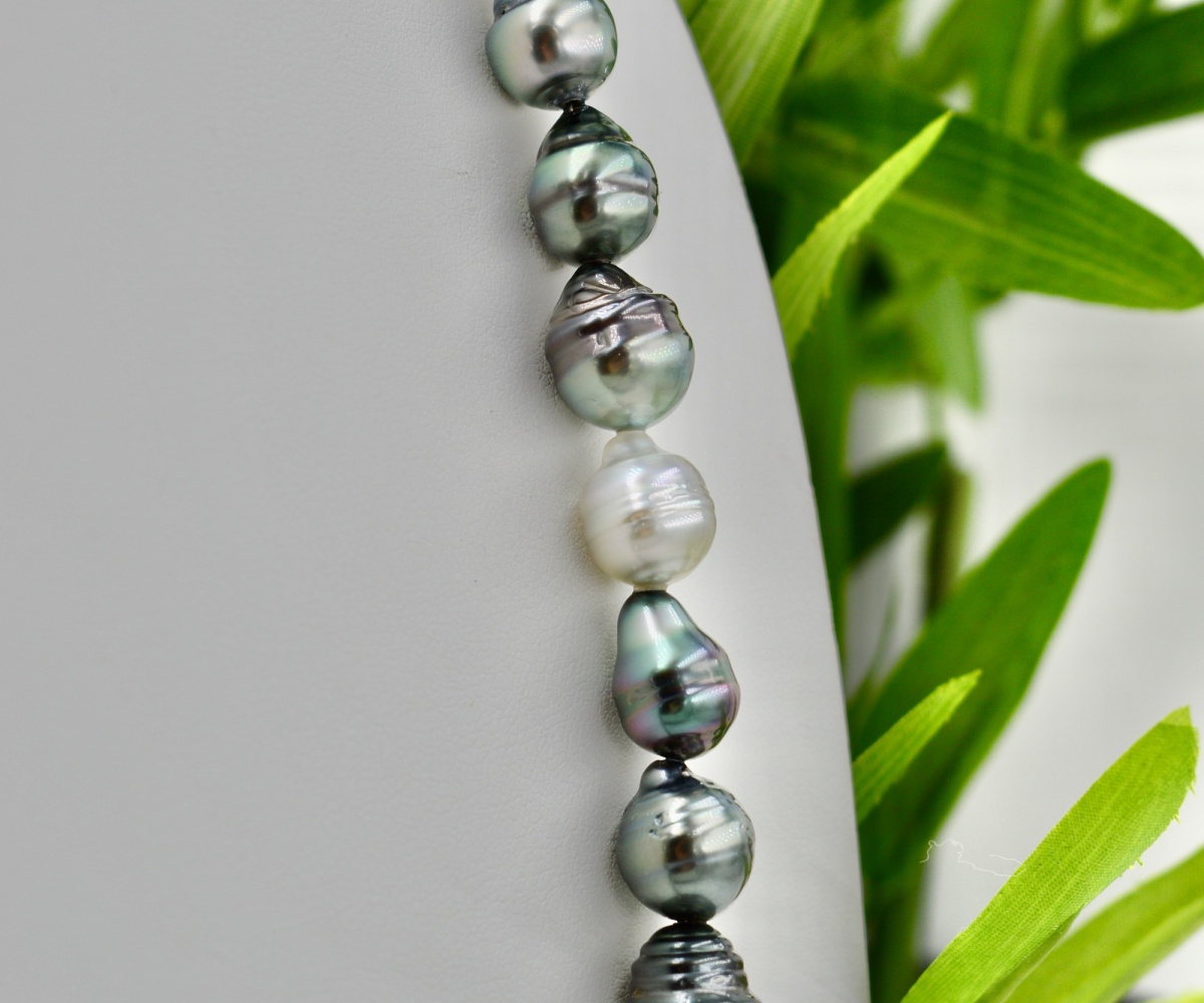 126-collection-marutea-choker-de-59-perles-collier-en-perles-de-tahiti-6
