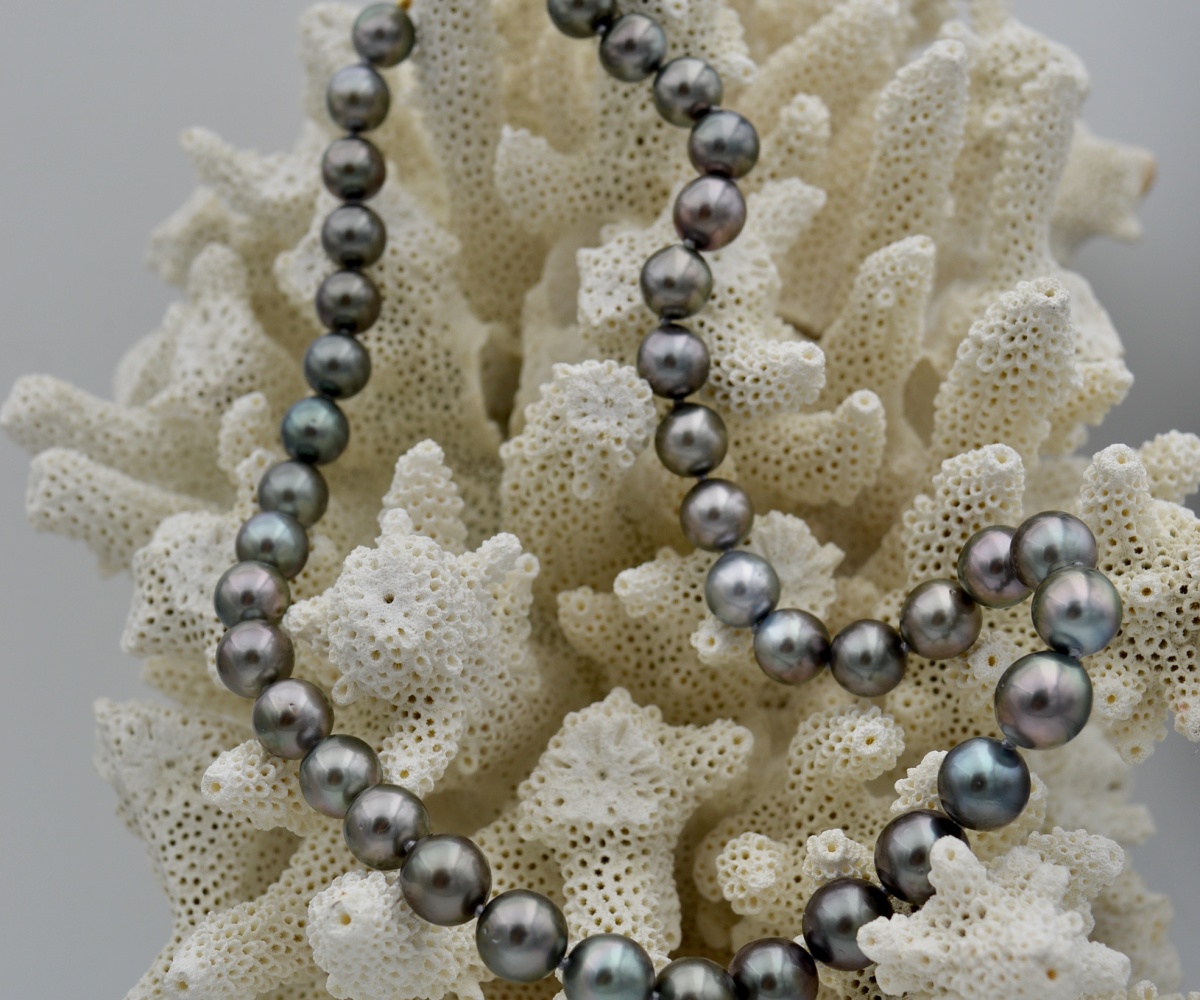 351-collection-tahiti-nui-41-splendides-perles-rondes-collier-en-perles-de-tahiti-13