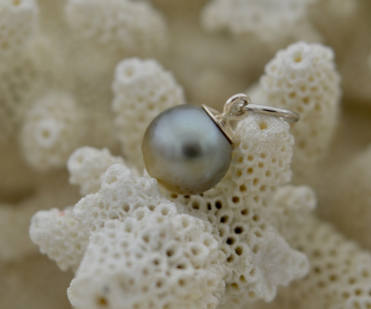 536-collection-tiare-perle-de-10-5mm-sur-argent-pendentif-en-perles-de-tahiti-0