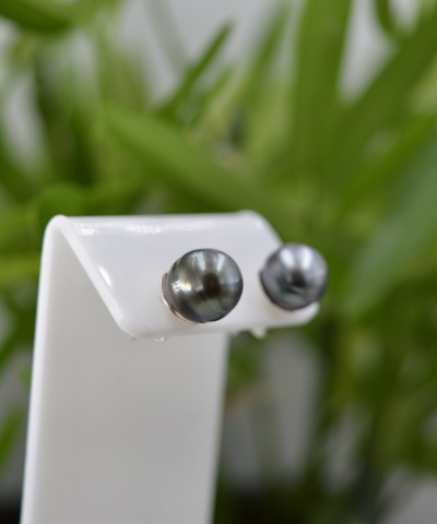 302-collection-bora-perles-de-9-7mm-boucles-oreilles-en-perles-de-tahiti-0